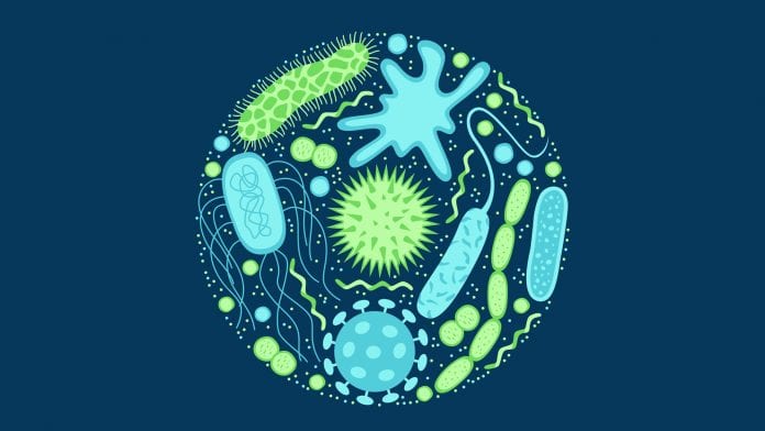 https://www.healthtrackrx.com/wp-content/uploads/2021/07/Antimicrobial-Resistance-A-Global-Public-Health-Threat-Image.jpg