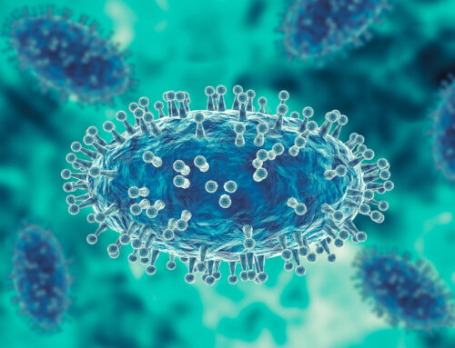 Monkeypox: What Do We Know So Far?