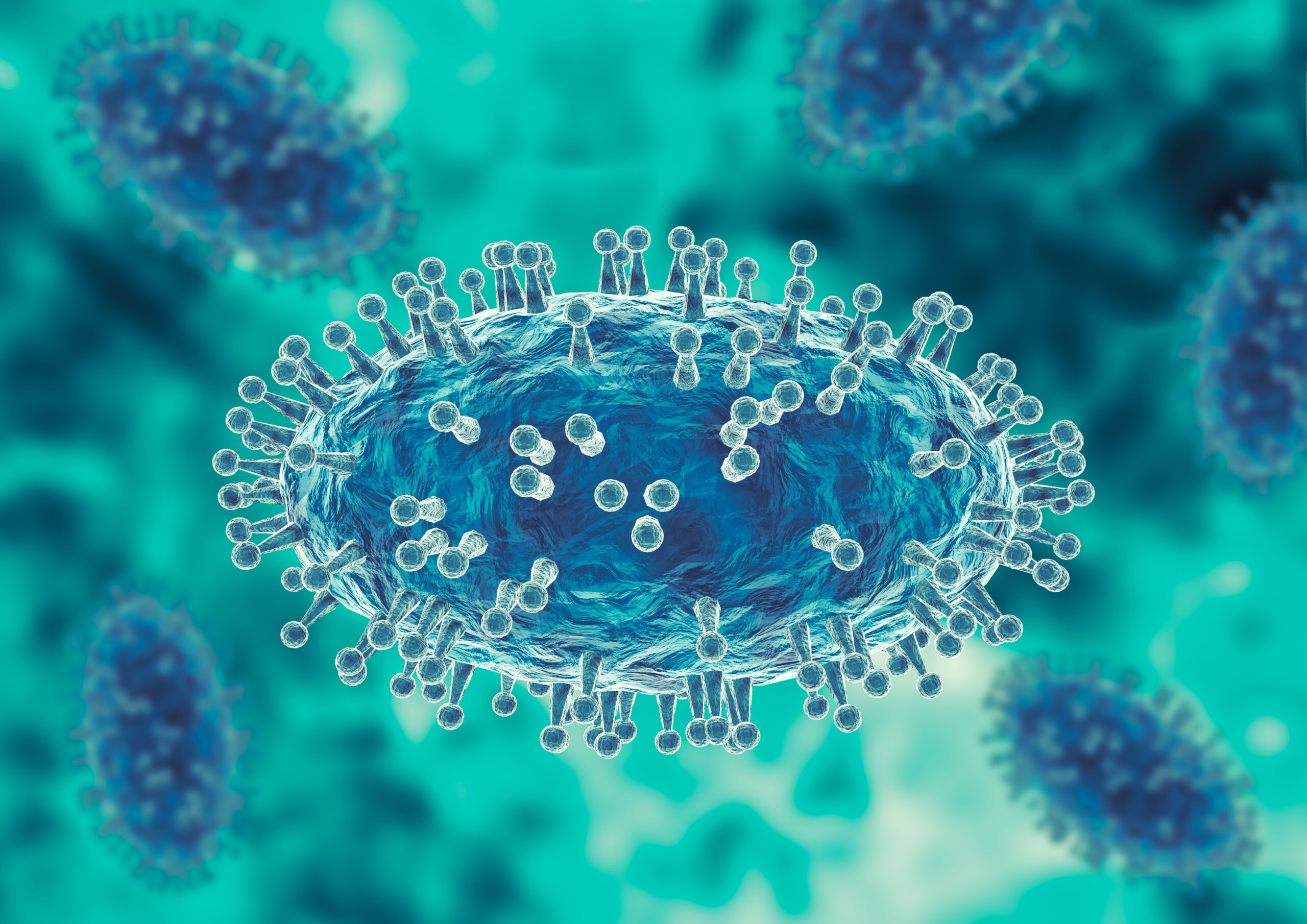 Monkeypox virus is a smallpox-like viral infection transmitted from animals to humans