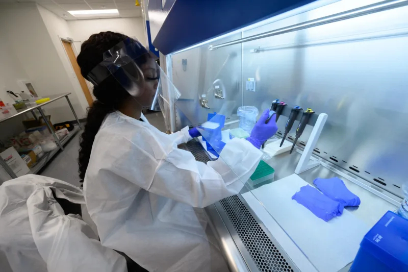 Georgia-Lab-38