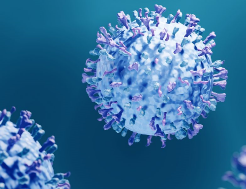 Everything You Need to Know about RSV
