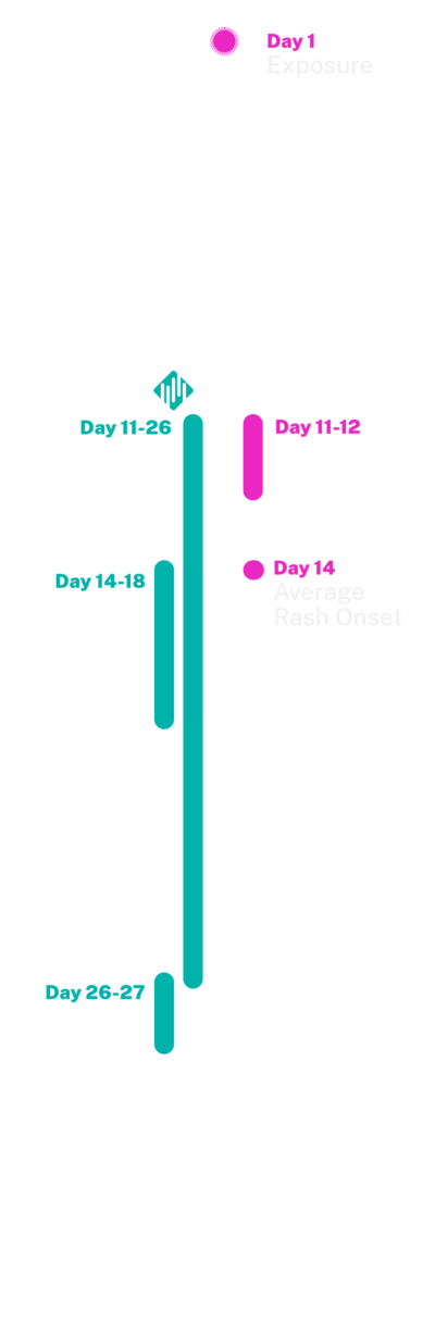 Next-Morning Measles PCR Testing