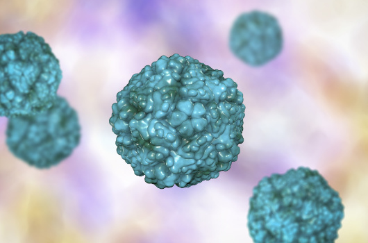 Enterovirus D68 Epidemiology: Unexpected 2025 Spike