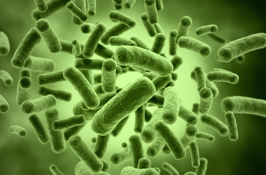 Unmasking the Nightmare Bacteria This Halloween Unmasking the Nightmare Bacteria This Halloween