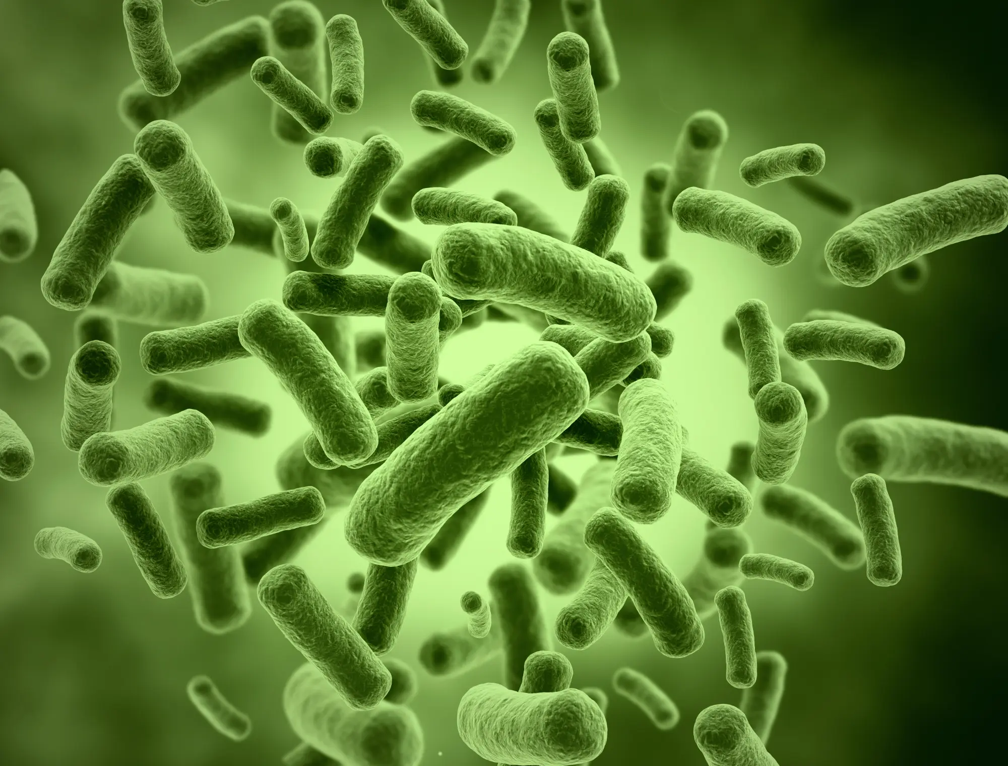 Unmasking the Nightmare Bacteria This Halloween Unmasking the Nightmare Bacteria This Halloween