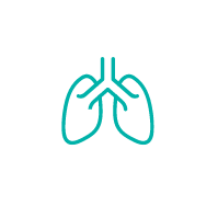 Respiratory Tract Icon