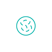 Urinary Tract Infection Icon