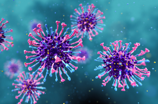 Illustration of human metapneumovirus (hMPV) particle - thumbnail