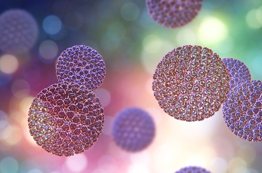 Rotavirus infection symptoms and molecular testing thumbnail